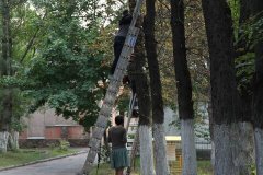 IMG_0788